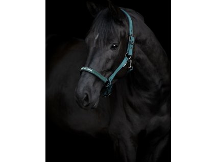 Ohlávka Sandra HorseGuard, darkest spruce