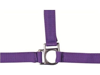 Ohlávka polstrovaná Stars HKM, lilac