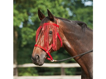 Ohlávka so strapcami Weide-Fransen BUSSE, red