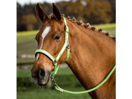 Ohlávka Solid Soft BUSSE, grass