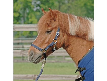 Ohlávka Hansa BUSSE, navy