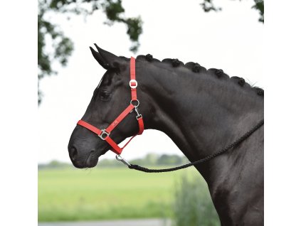 Ohlávka Hansa BUSSE, red