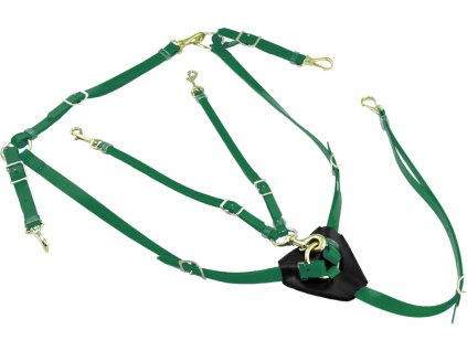 Poprsák Biothane Lakota, green