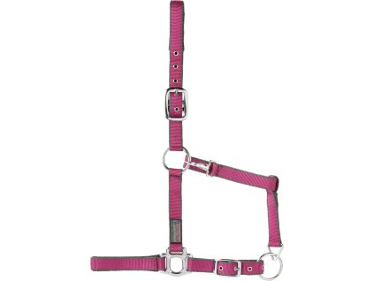 Ohlávka USG, fuchsia/grey