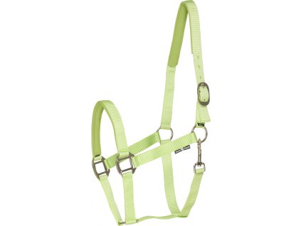 Ohlávka so strieborným kovaním Nylon II HorseGuard, lime