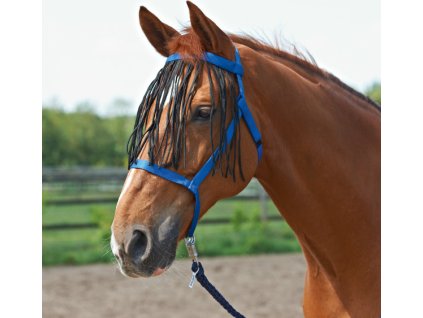 Ohlávka so strapcami Weide-Fransen BUSSE, royal blue