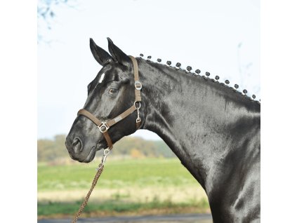 Ohlávka Supreme BUSSE, tmavohnedá