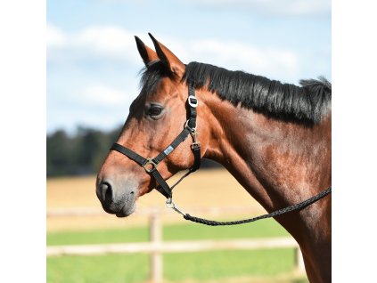 Ohlávka Hansa BUSSE, čierna