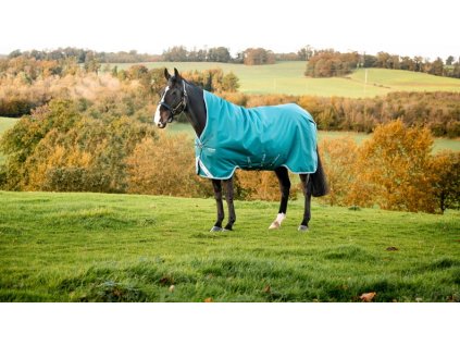 Deka výbehová Amigo Bravo 12, s vyšším krkom, 250 g, storm green/turquoise, aqua & blue