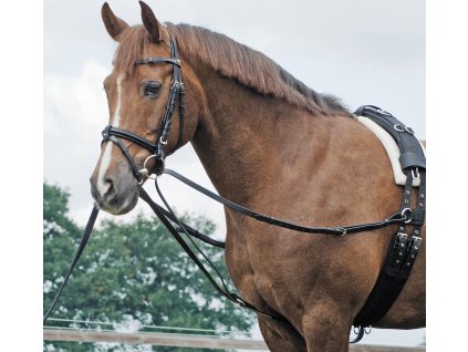 Oťaže vyväzovacie Basic BUSSE, čierne