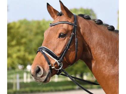 Uzdečka Massa BUSSE, black/white/gloss crystal