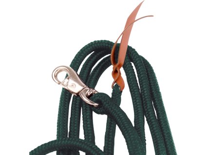 Vodítko pre prácu zo zeme Standard BUSSE, 3,7 m, dark green