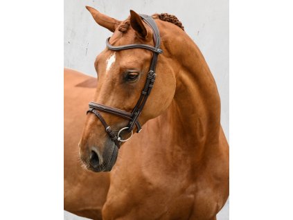 Uzdečka Štokholm PS of Sweden, hnedá