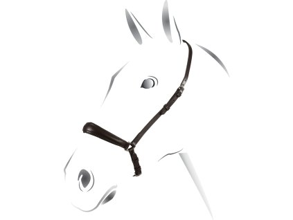 Nánosník hannoverský Equestro, čierny
