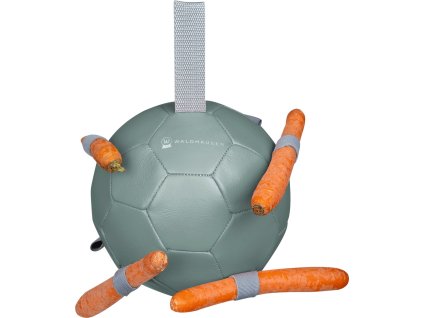 Hračka pre kone Carrot Waldhausen, mistletoe