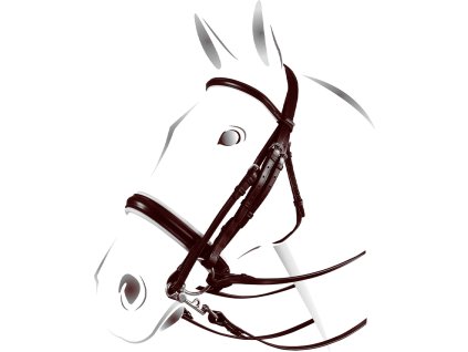 Uzda drezúrna Plus Equestro, tmavohnedá