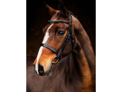 Uzdečka Wellington PS of Sweden, čierna