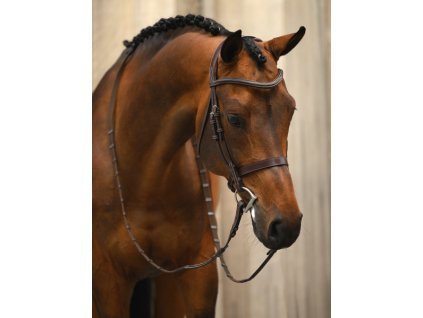 Uzdečka Wellington PS of Sweden, hnedá