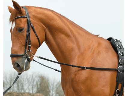 Oťaže vyväzovacie Basic-Starr BUSSE, čierne