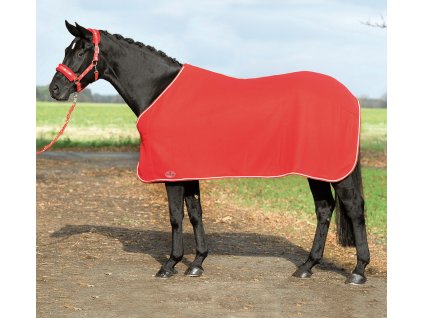 Deka odpocovacia Show BUSSE, red/silver