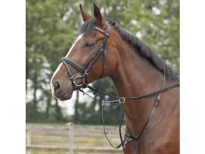 Martingal Basic-Pro BUSSE, čierny (Varianta PONY)