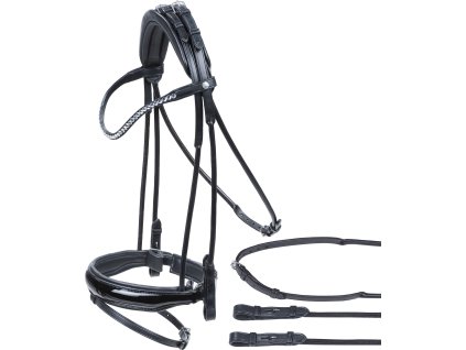 Uzdečka Passage Line BUSSE, čierna
