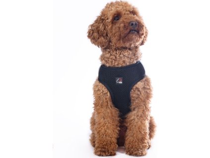 Postroj pre psov Buddy Soft HKM, čierny