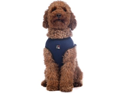 Postroj pre psov Buddy Soft HKM, deep blue