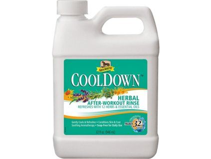 400 964fae32 absorbine cooldown