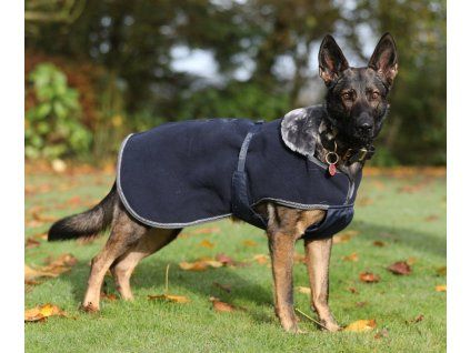 Deka pre psov Show-Line Bucas, navy/grey (Veľkosť 25 cm	)