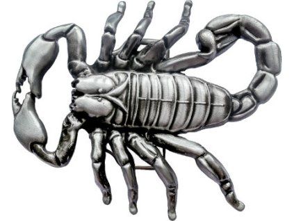 snimek obrazovky 2024 12 04 092728