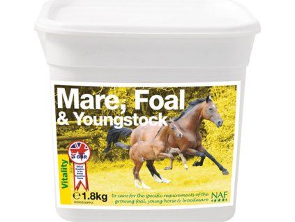 80748 477 253115ea mareandfoal