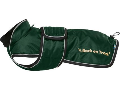 Deka pre psov Buddy Back on Track, green