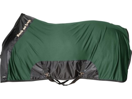 Deka Royal Mesh Deluxe Back on Track, green