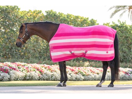 Deka odpocovacia Newmarket Horseware, witney pink