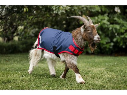 Deka pre kozy Horseware, 200 g, navy/red