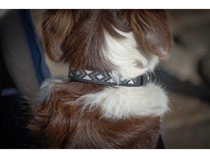 Obojok pre psov Pearl Penelope, black/white
