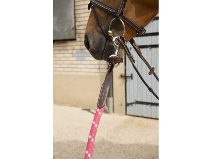 Vodítko Corde Penelope, 1,75 m, pink/havana