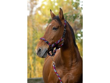 Ohlávka a vodítko Tressé Equithème, fuchsia/light blue/navy