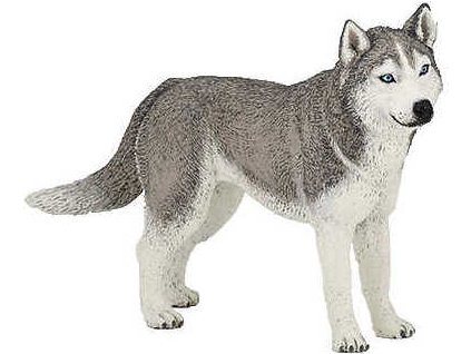 Figúrka PAPO, sibírsky husky