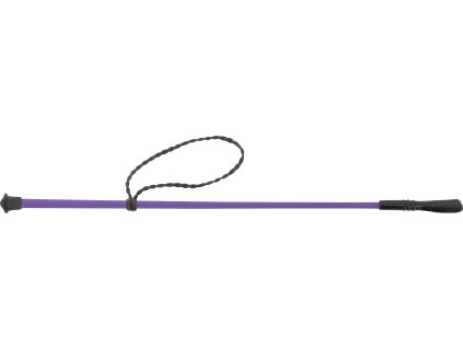 Bič skokový Twist Whip&Go, 53 cm, purple