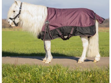 Deka výbehová Falabella QHP, 50 g, wine red
