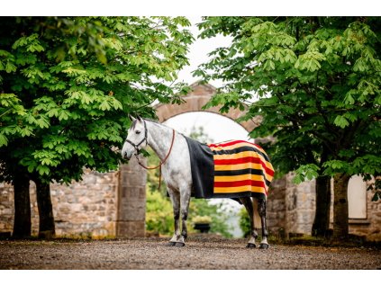 Deka odpocovacia Newmarket Horseware, obojstranná, witney gold