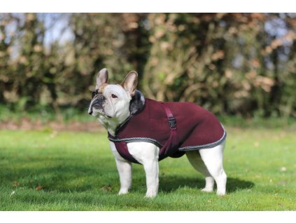 Deka pre psov Show-Line Bucas, burgundy/grey