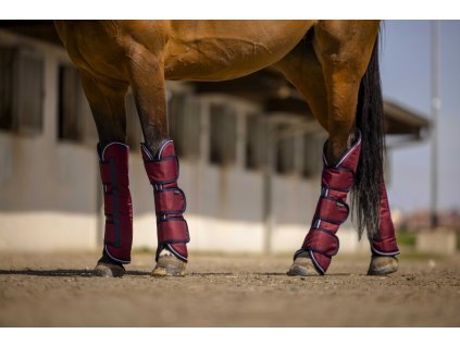 Chrániče prepravné Tyrex Aisance Equithème, 4 ks, burgundy