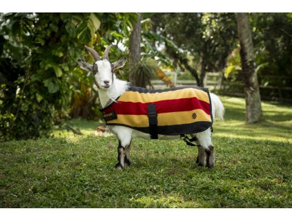 Deka pre kozy Newmarket Horseware, fleecová, witney gold