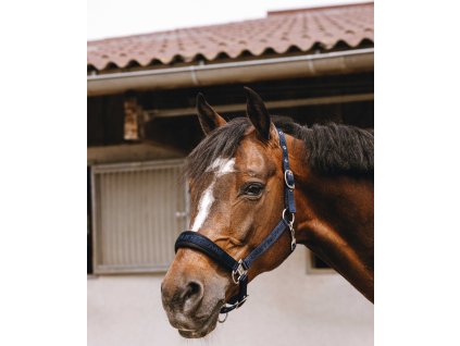 Ohlávka Jacquard Equithème, navy