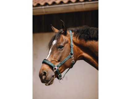 Ohlávka Jacquard Equithème, green