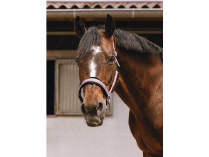 Ohlávka Jacquard Equithème, pink