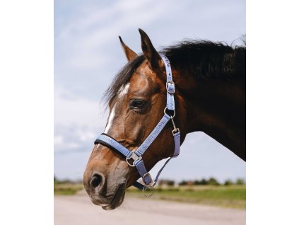 Ohlávka Jacquard Equithème, sky blue